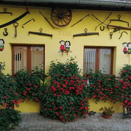Des Hiboux Apartman Kintzheim